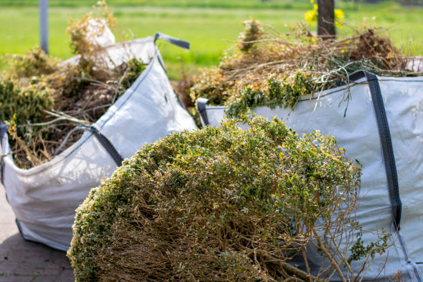 Best Estate Cleanout Services  in Hanahan, SC